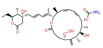 Leiodermatolide C